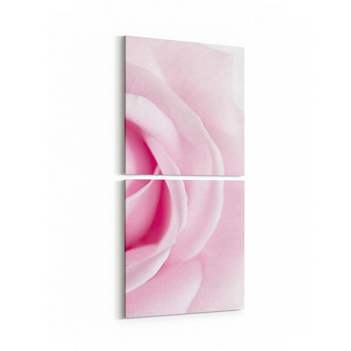 Olla 11572K2D Çiçek Görseli Kare 2'li Dikey Kanvas Tablo (Ölçü: 30X65)