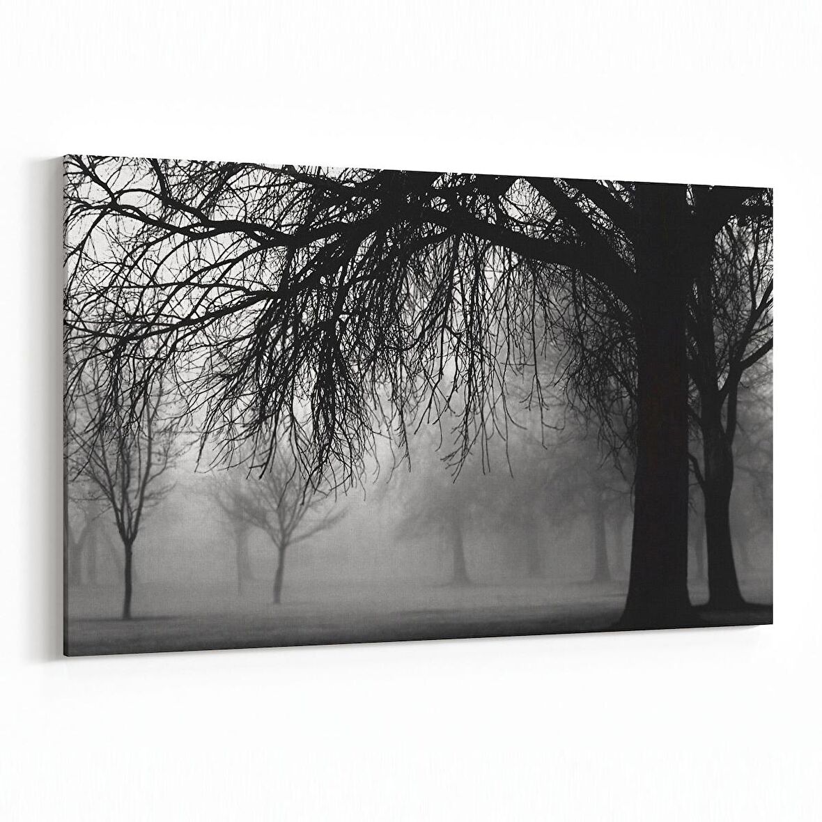 Olla 13652Y Doğa / Manzara Görseli Yatay Kanvas Tablo (Ölçü: 45X30)