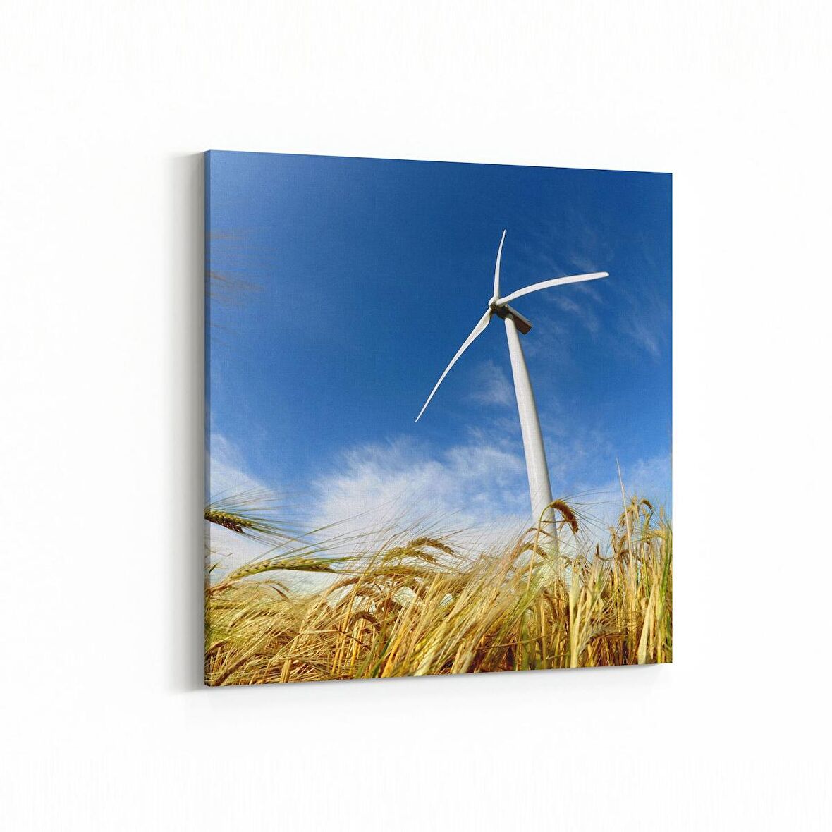 Olla 13922K Doğa / Manzara Görseli Kare Kanvas Tablo (Ölçü: 60X60)