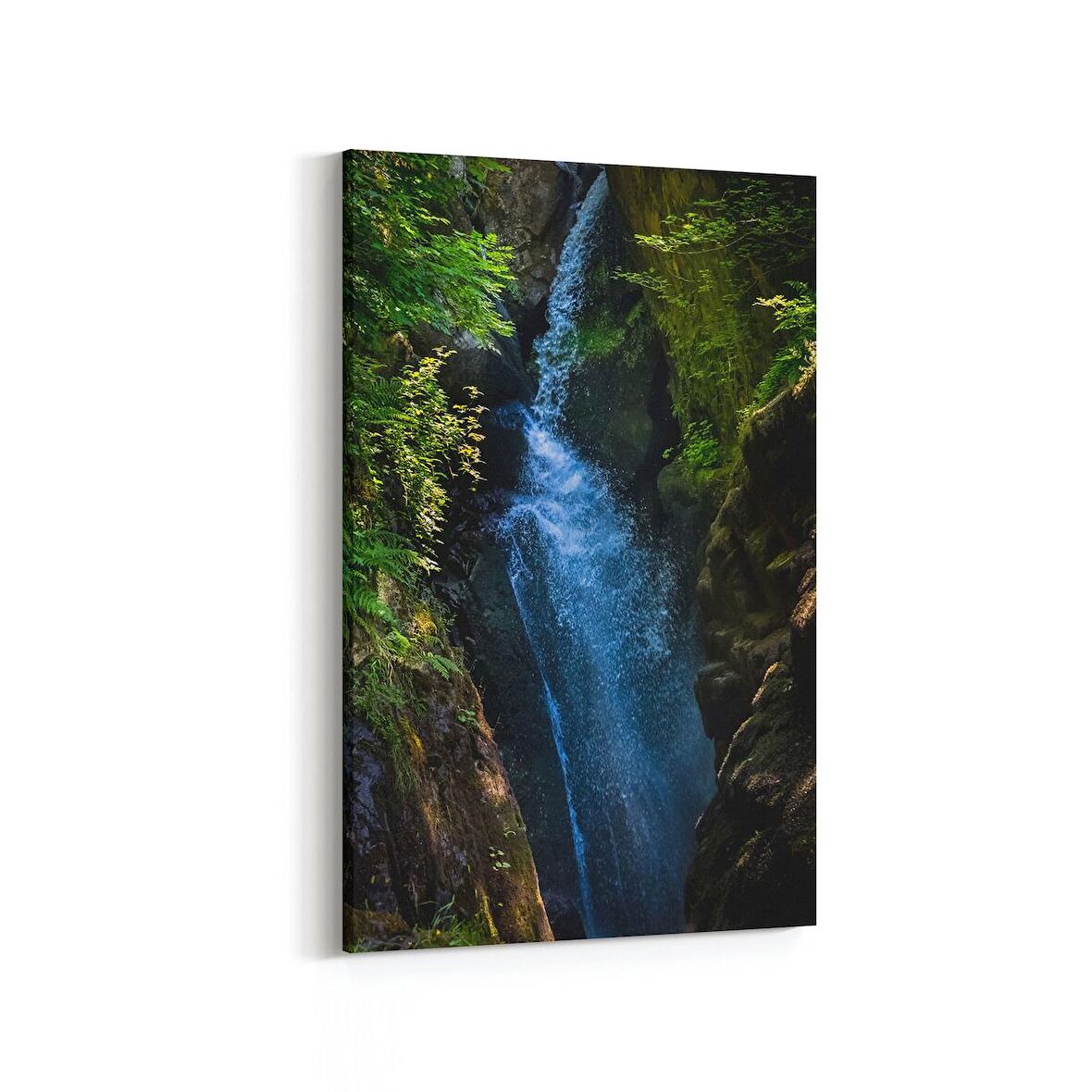 Olla 13559D Doğa / Manzara Görseli Dikey Kanvas Tablo (Ölçü: 20X30)