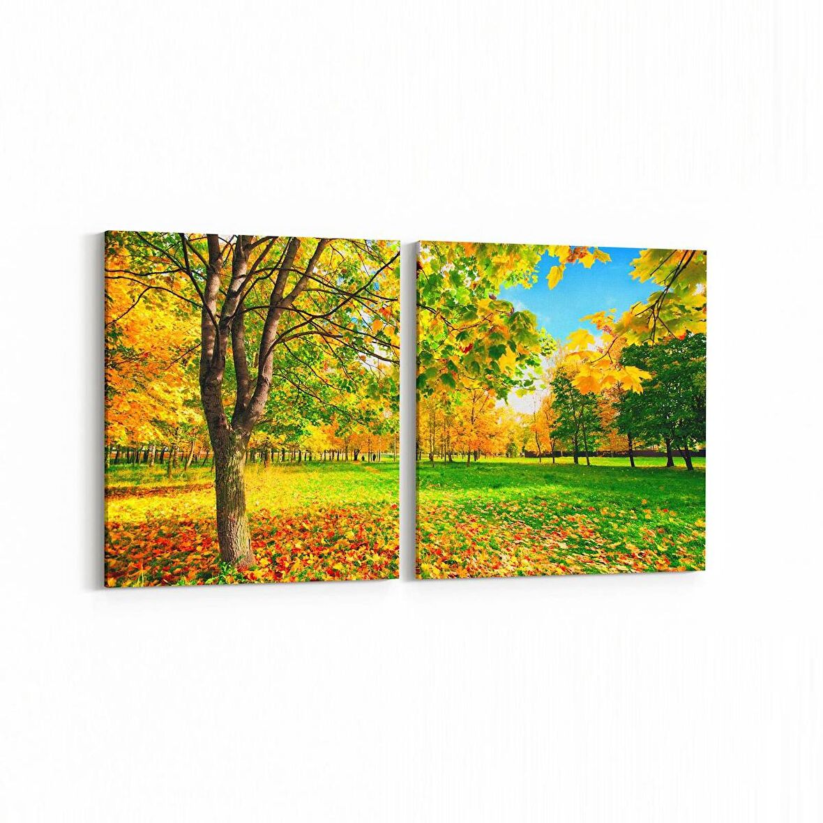 Olla 13174K2Y Doğa / Manzara Görseli Kare 2'li Yatay Kanvas Tablo (Ölçü: 85X40)