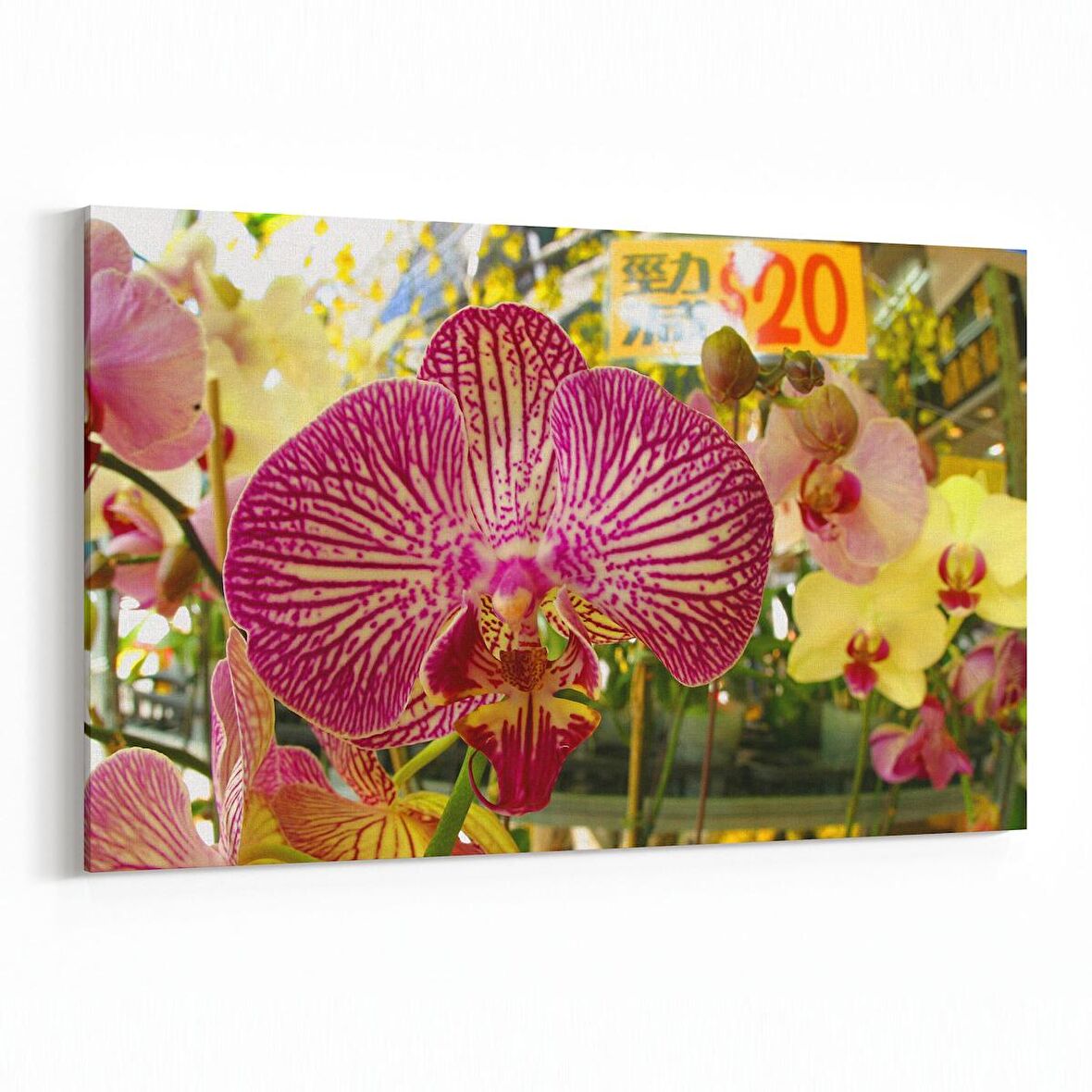 Olla 11613Y Çiçek Görseli Yatay Kanvas Tablo (Ölçü: 30X20)