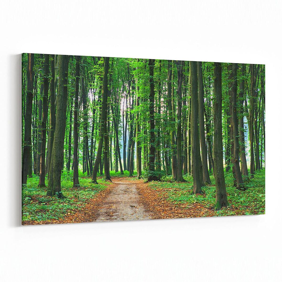 Olla 13870Y Doğa / Manzara Görseli Yatay Kanvas Tablo (Ölçü: 45X30)