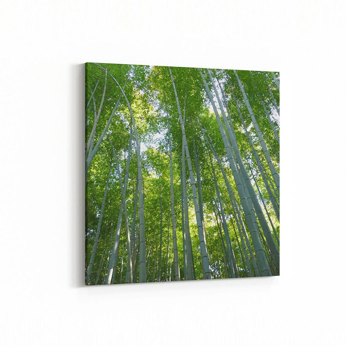 Olla 14440K Doğa / Manzara Görseli Kare Kanvas Tablo (Ölçü: 30X30)