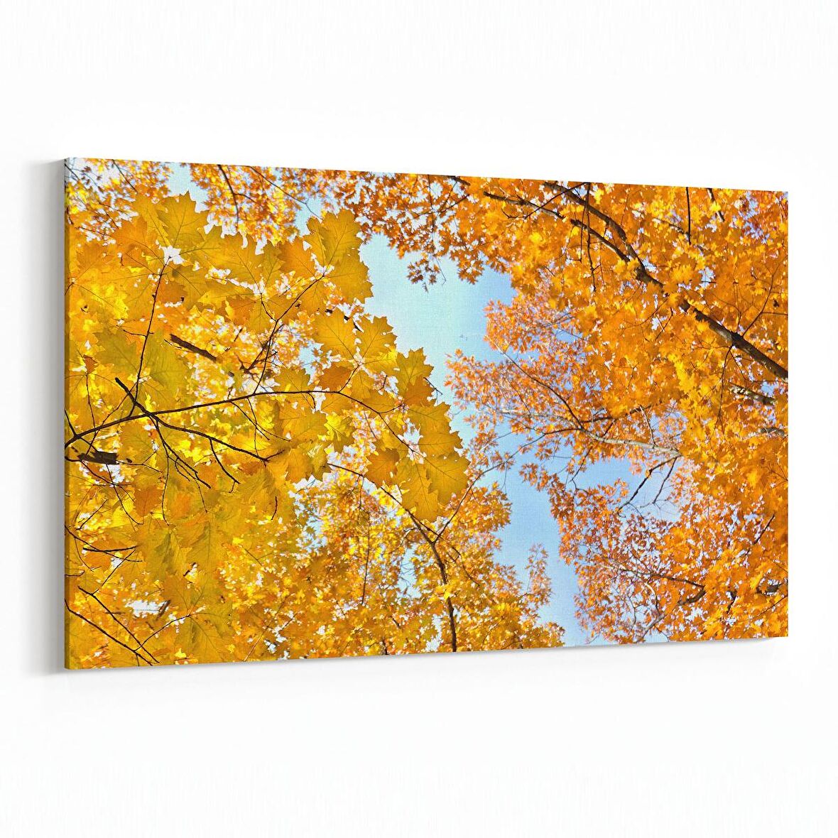 Olla 10889Y Ağaç Görseli Yatay Kanvas Tablo (Ölçü: 150X100)