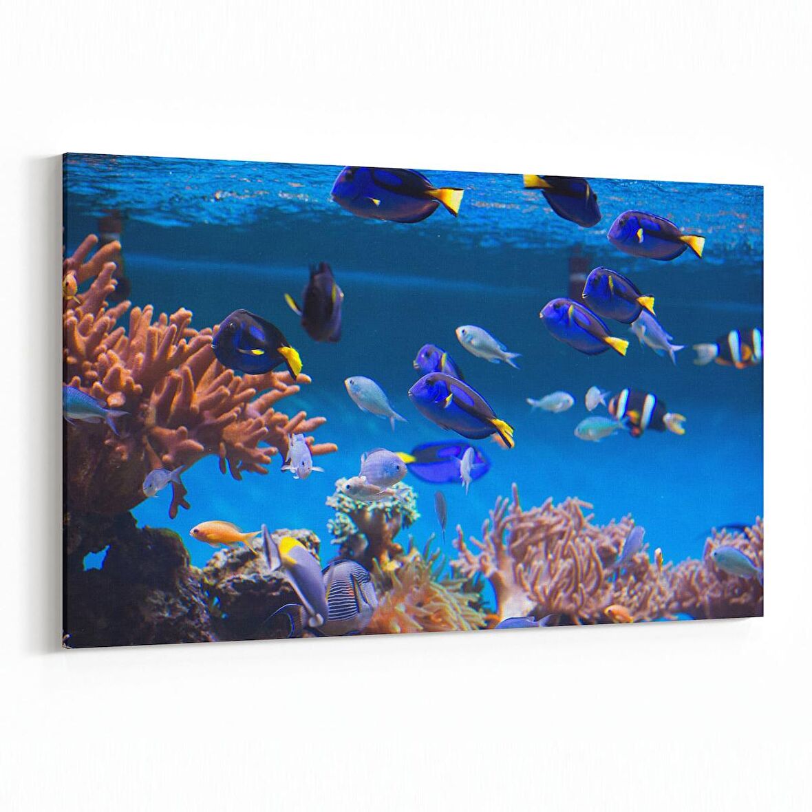 Olla 12139Y Akvaryum / Balık Görseli Yatay Kanvas Tablo (Ölçü: 30X20)