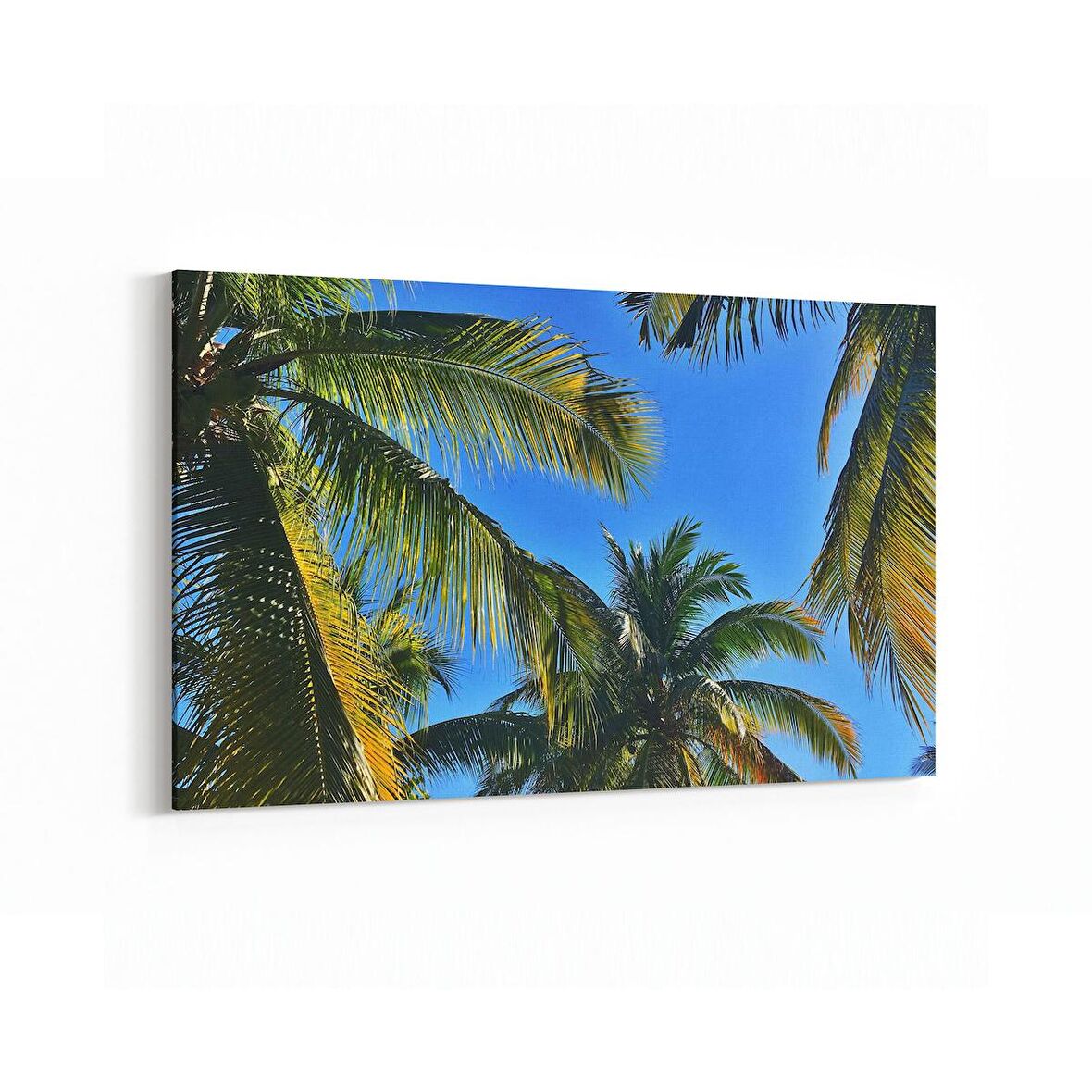 Olla 11534Y Palmiye Ağacı Görseli Yatay Kanvas Tablo (Ölçü: 120X80)