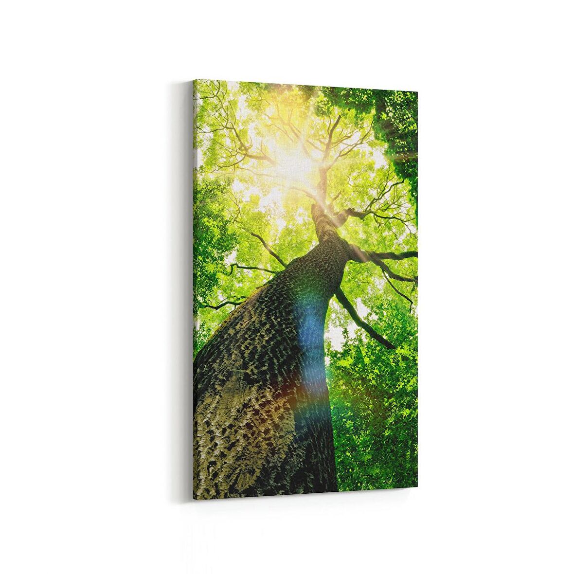 Olla 11063DD Ağaç Görseli Dikey Dar Kanvas Tablo (Ölçü: 30X60)