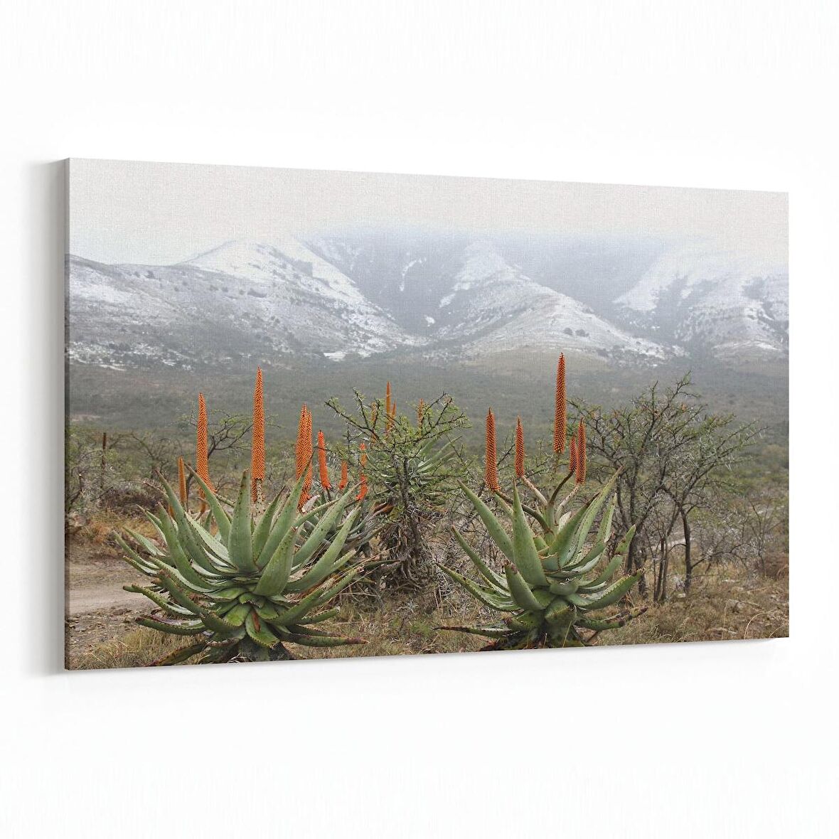 Olla 14220Y Doğa / Manzara Görseli Yatay Kanvas Tablo (Ölçü: 150X100)