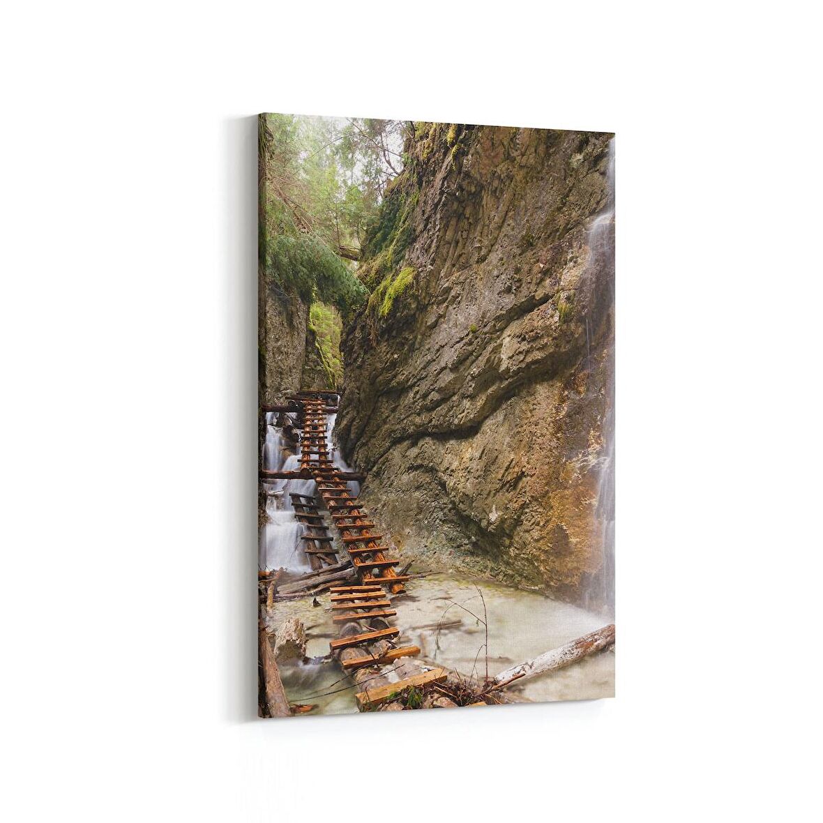 Olla 13433D Doğa / Manzara Görseli Dikey Kanvas Tablo (Ölçü: 100X150)