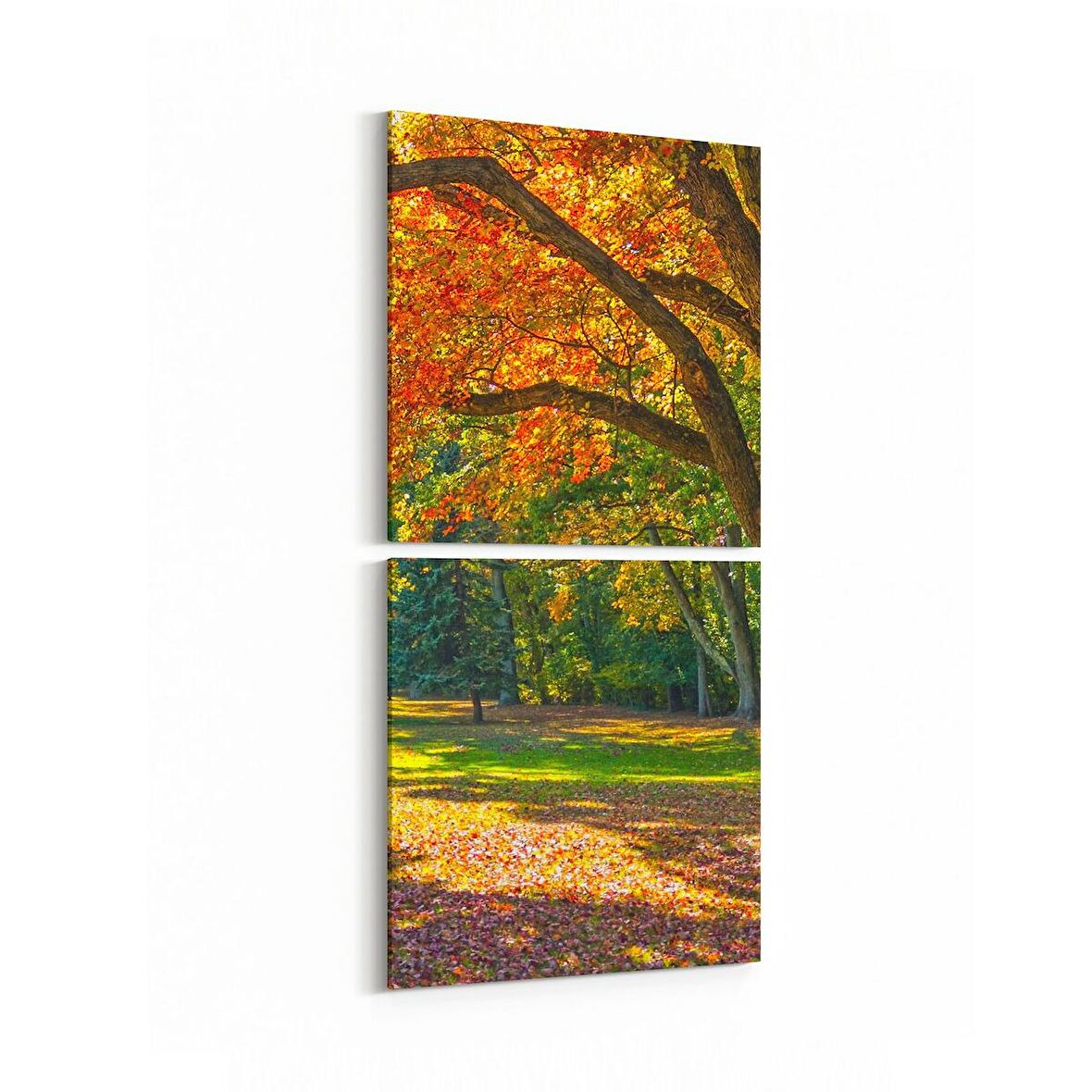 Olla 13980K2D Doğa / Manzara Görseli Kare 2'li Dikey Kanvas Tablo (Ölçü: 30X65)