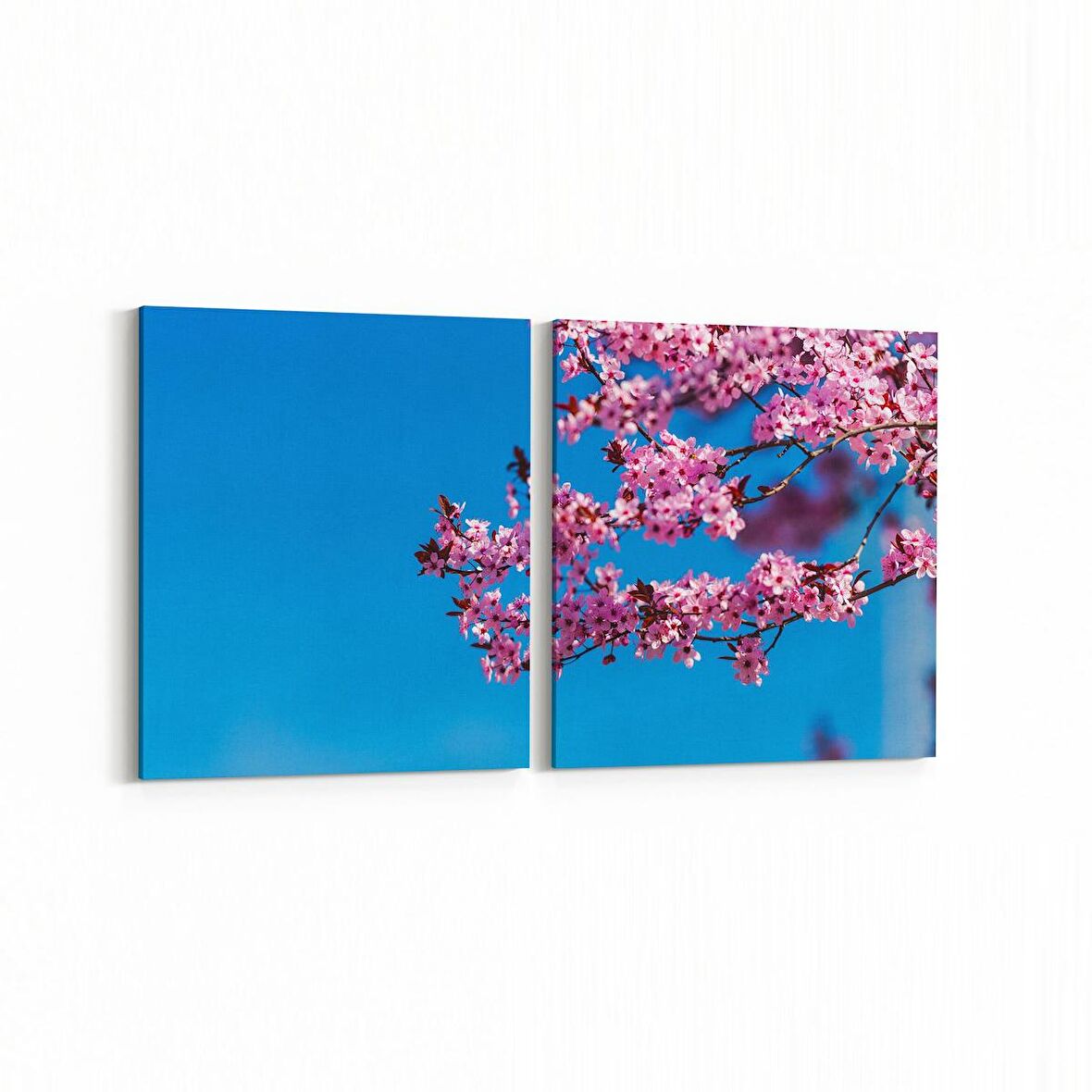 Olla 10954K2Y Ağaç Görseli Kare 2'li Yatay Kanvas Tablo (Ölçü: 105X50)