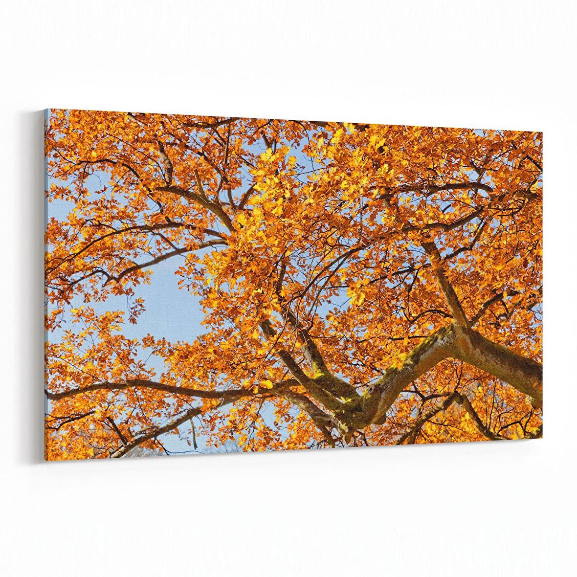 Olla 10501Y Ağaç Görseli Yatay Kanvas Tablo (Ölçü: 45X30)