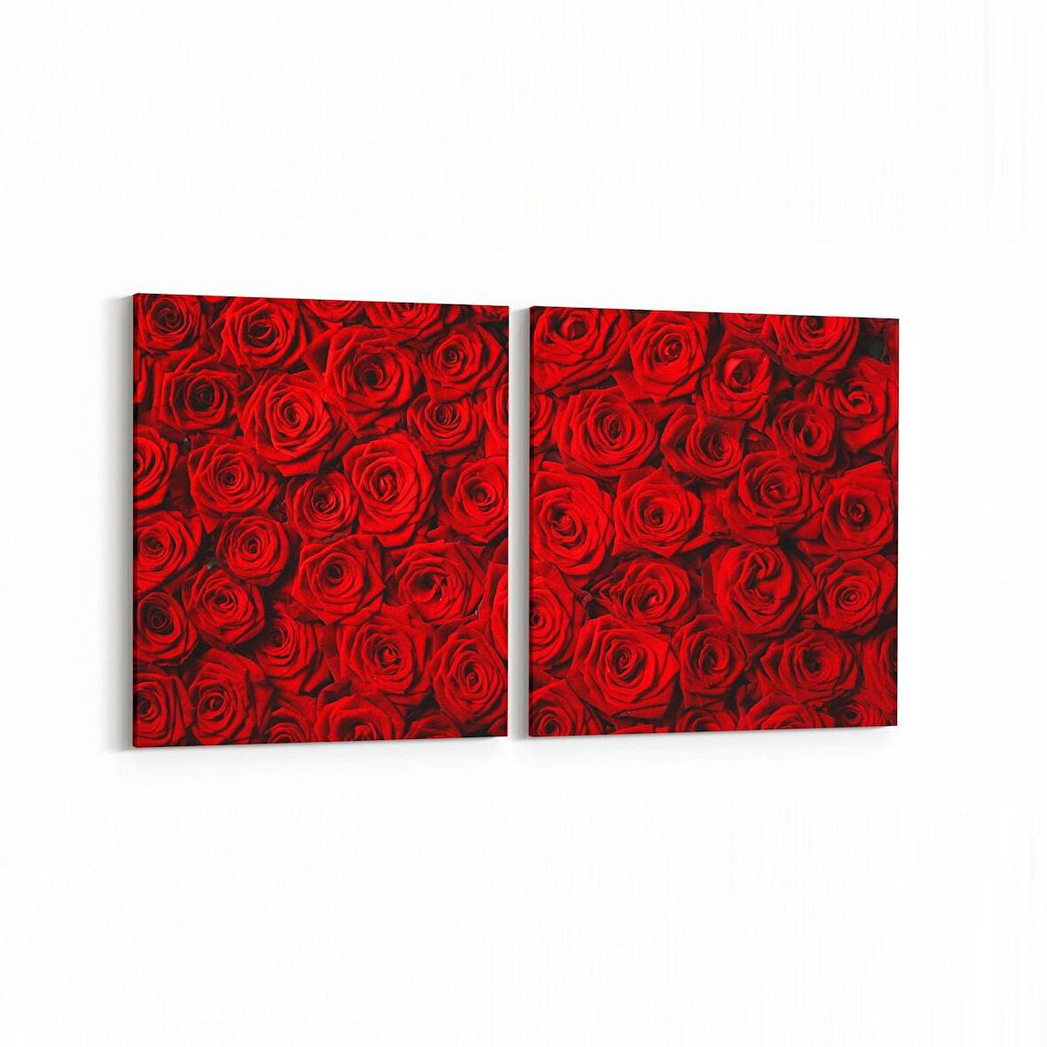 Olla 11559K2Y Çiçek Görseli Kare 2'li Yatay Kanvas Tablo (Ölçü: 65X30)