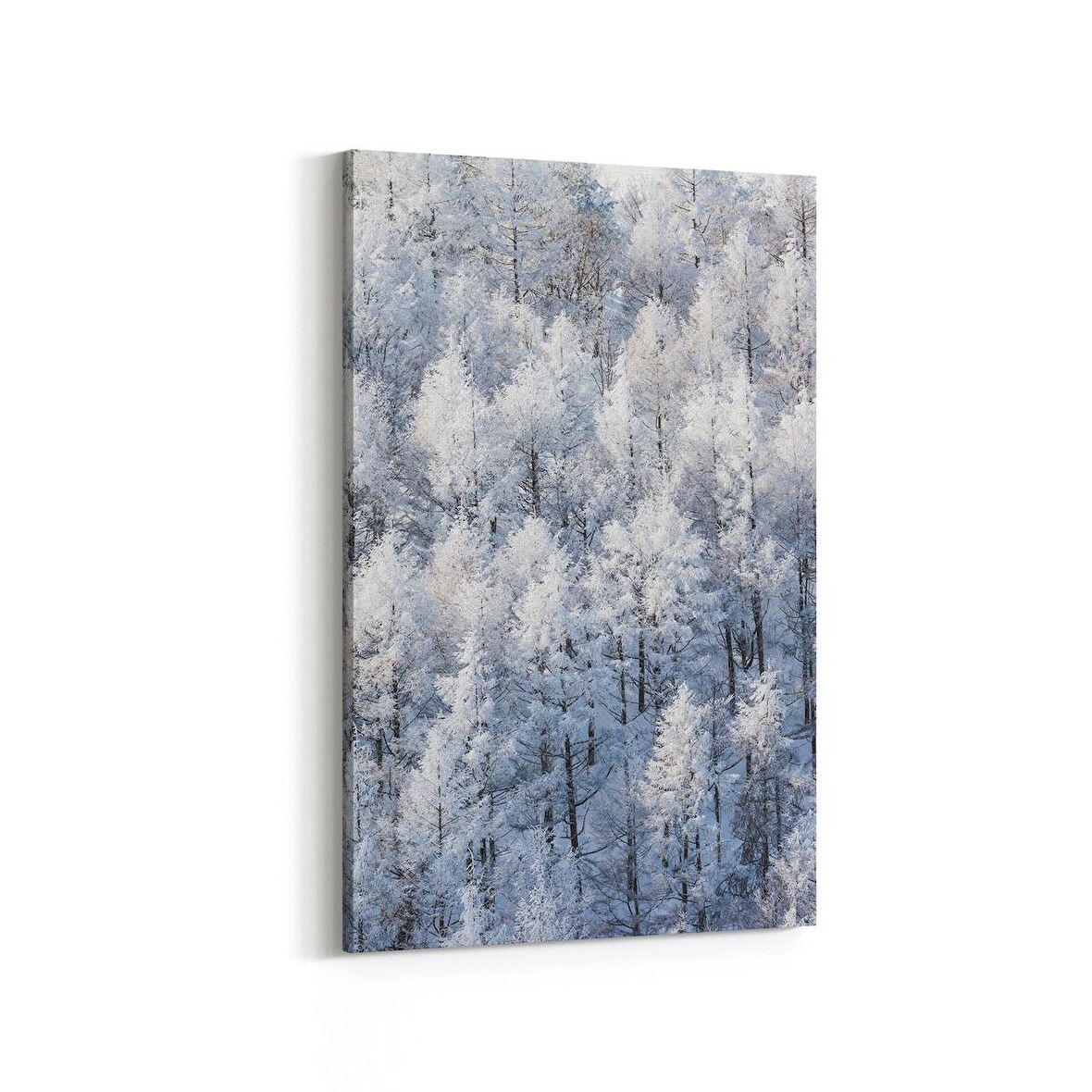 Olla 14255D Doğa / Manzara Görseli Dikey Kanvas Tablo (Ölçü: 20X30)