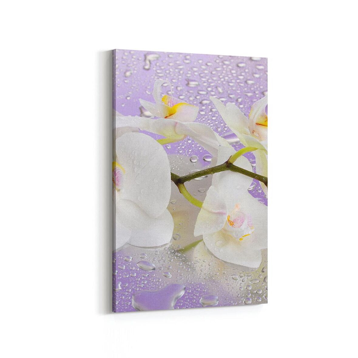 Olla 11660D Orkide Çiçek Görseli Dikey Kanvas Tablo (Ölçü: 100X150)