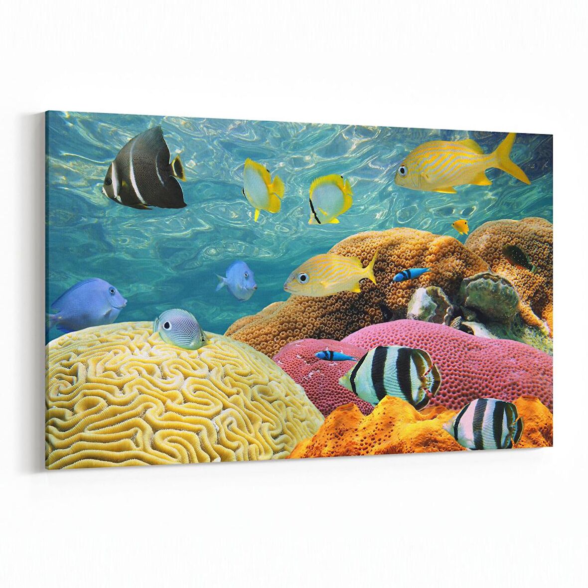 Olla 12208Y Akvaryum / Balık Görseli Yatay Kanvas Tablo (Ölçü: 45X30)