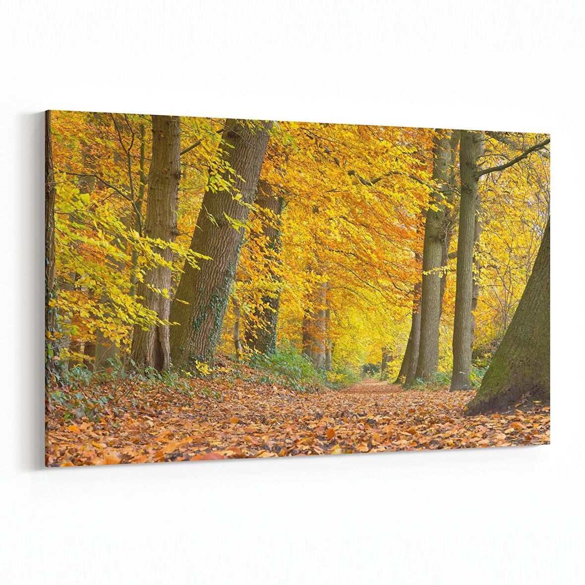 Olla 13540Y Doğa / Manzara Görseli Yatay Kanvas Tablo (Ölçü: 45X30)