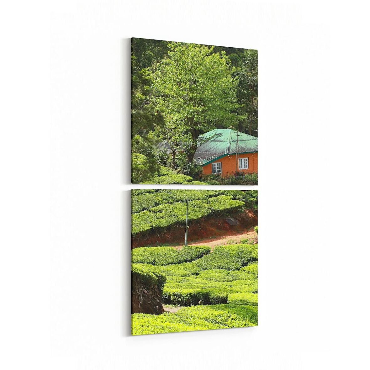 Olla 13341K2D Doğa / Manzara Görseli Kare 2'li Dikey Kanvas Tablo (Ölçü: 30X65)