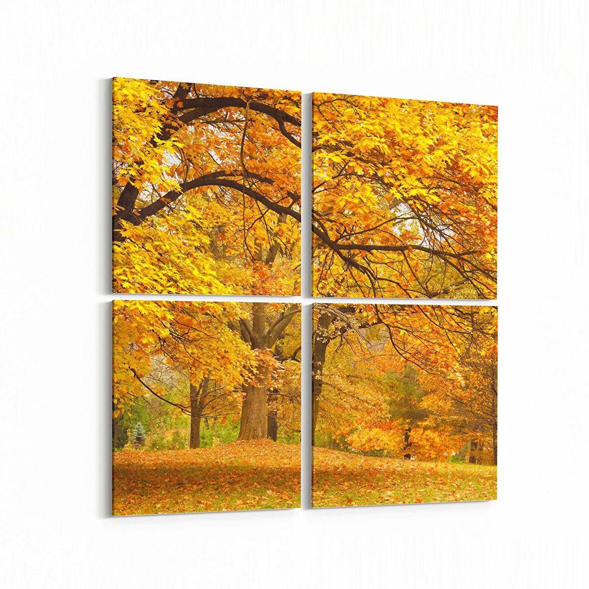 Olla 13229K4 Doğa / Manzara Görseli Kare 4'lü Kanvas Tablo (Ölçü: 65X65)