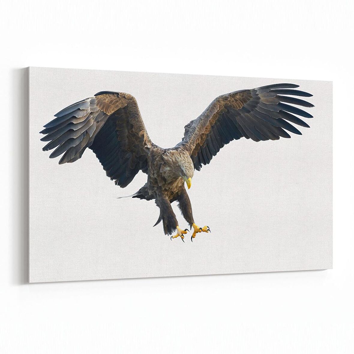 Olla 12502Y Hayvanlar Alemi Görseli Yatay Kanvas Tablo (Ölçü: 30X20)