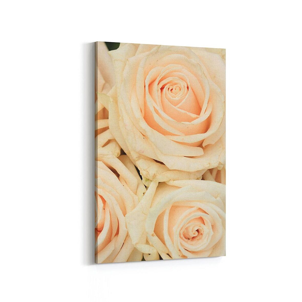 Olla 11619D Çiçek Görseli Dikey Kanvas Tablo (Ölçü: 80X120)