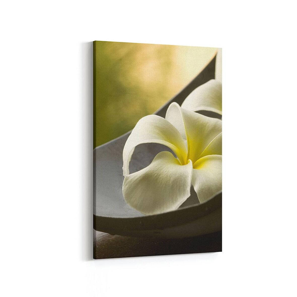 Olla 17068D Spa / Masaj Görseli Dikey Kanvas Tablo (Ölçü: 20X30)