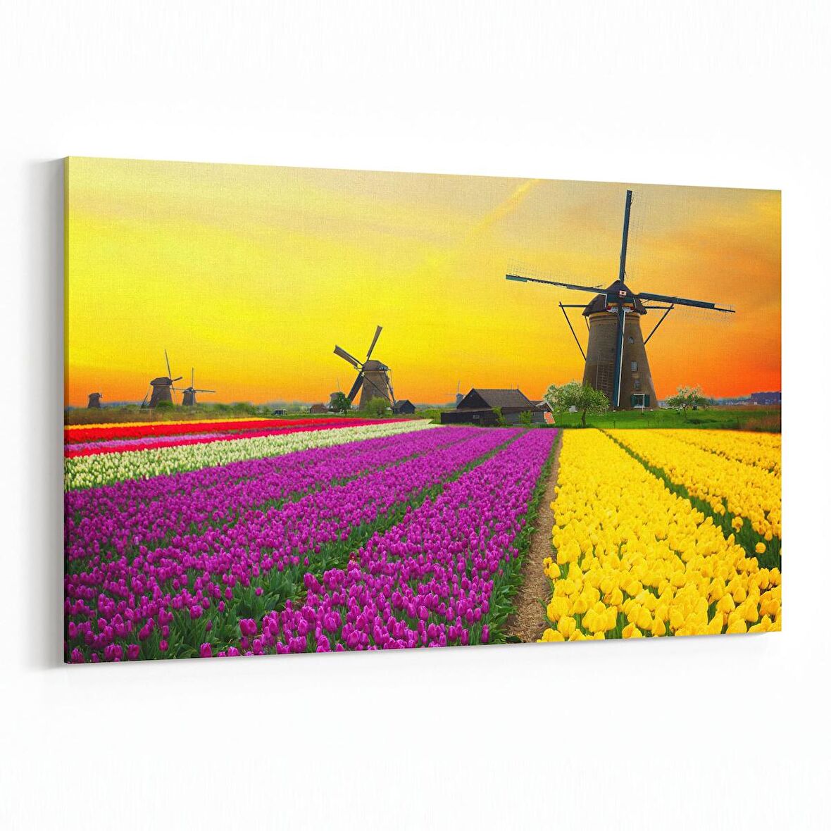 Olla 14060Y Doğa / Manzara Görseli Yatay Kanvas Tablo (Ölçü: 70X50)