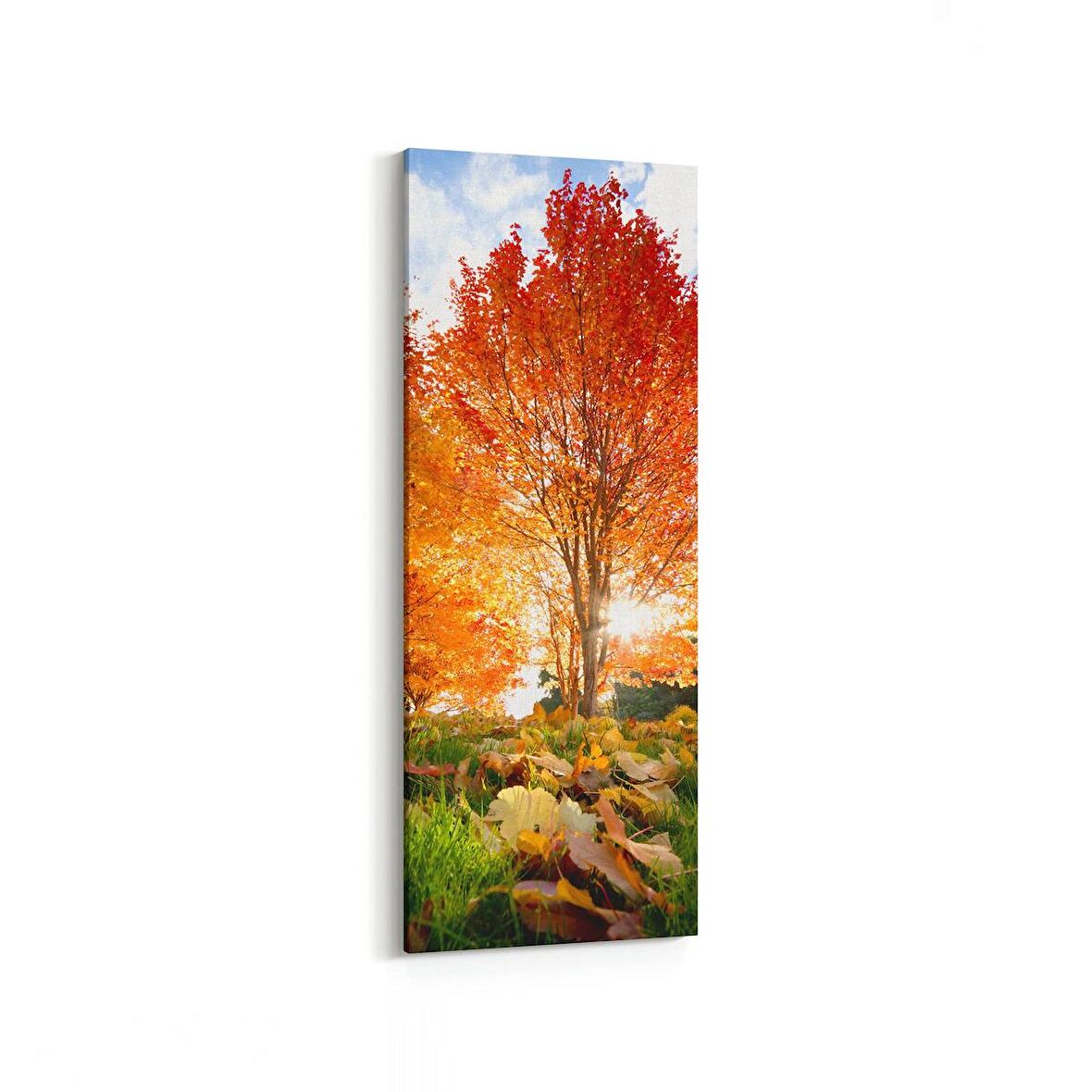 Olla 14247DI Doğa / Manzara Görseli Dikey İnce Kanvas Tablo (Ölçü: 40X120)