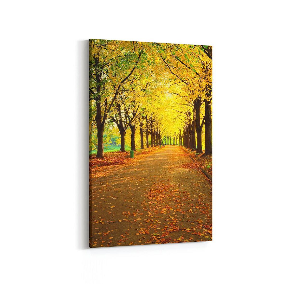 Olla 13867D Doğa / Manzara Görseli Dikey Kanvas Tablo (Ölçü: 80X120)