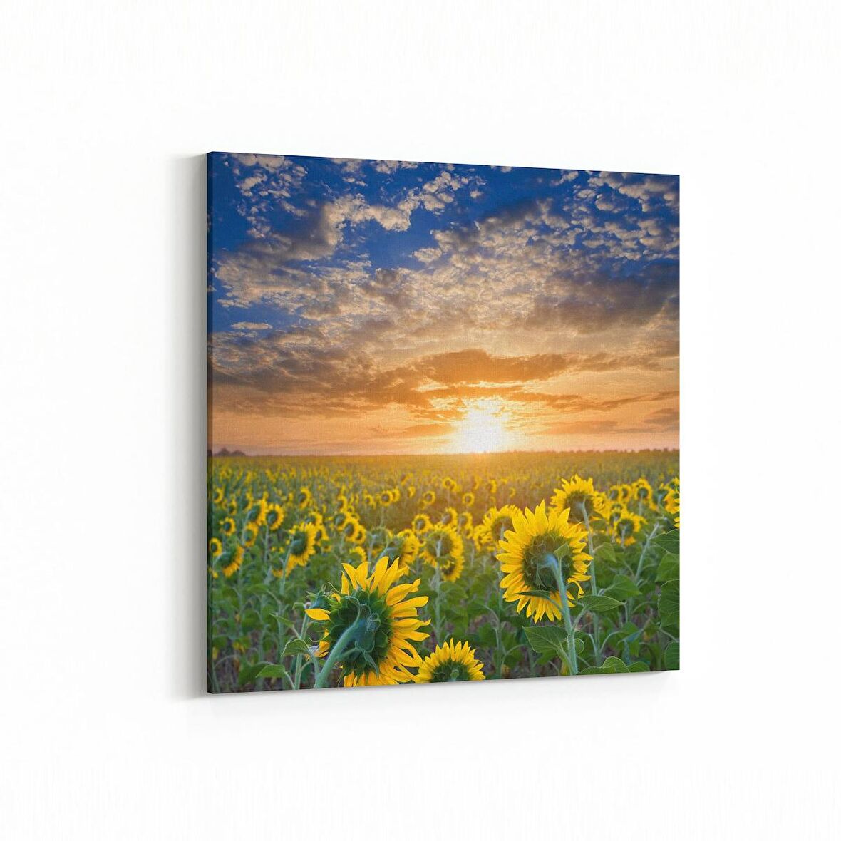 Olla 15916K Günbatımı Görseli Kare Kanvas Tablo (Ölçü: 30X30)