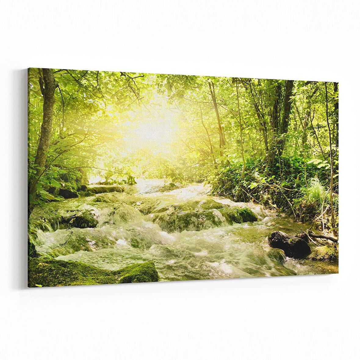 Olla 13563Y Doğa / Manzara Görseli Yatay Kanvas Tablo (Ölçü: 90X60)