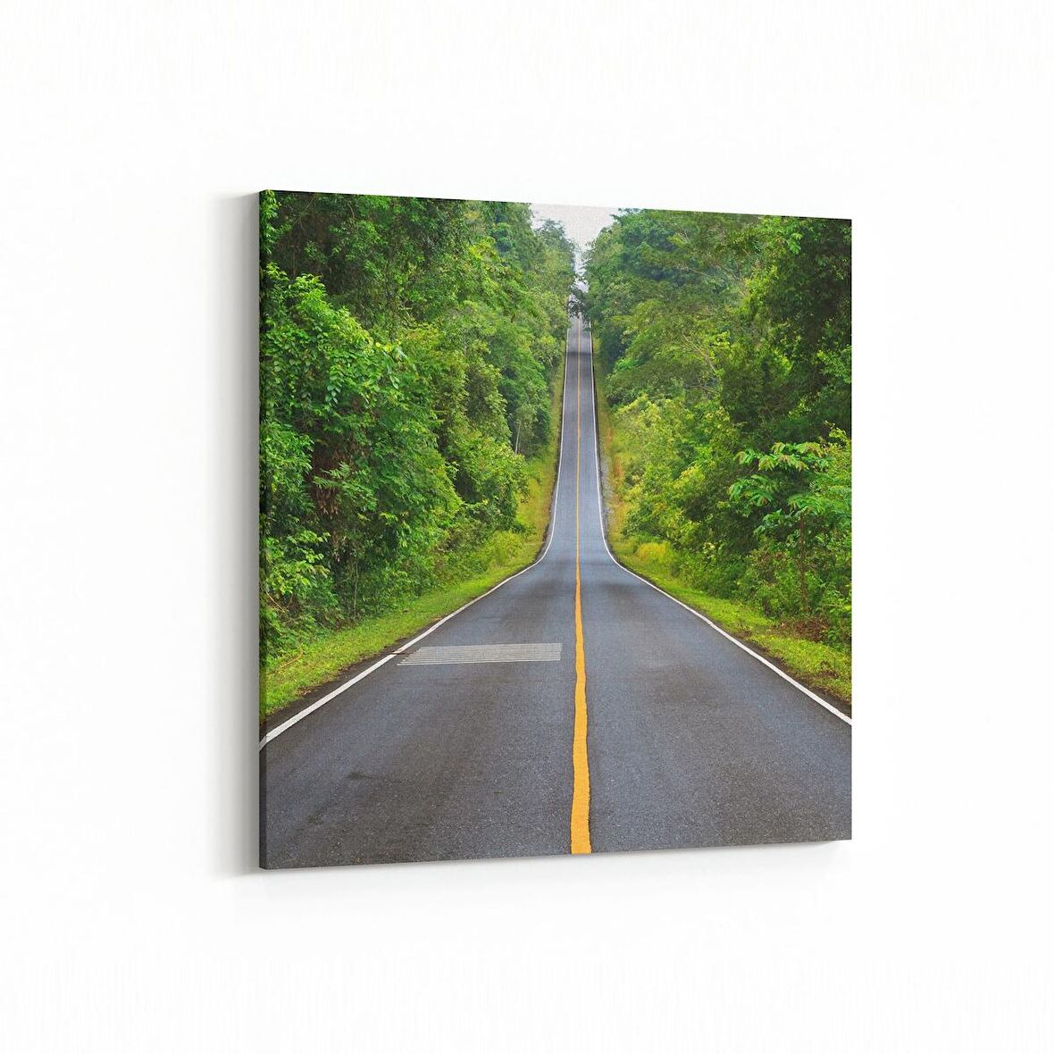 Olla 13267K Doğa / Manzara Görseli Kare Kanvas Tablo (Ölçü: 30X30)