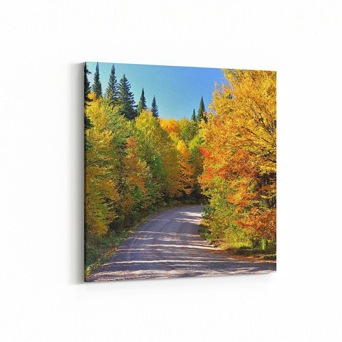 Olla 14015K Doğa / Manzara Görseli Kare Kanvas Tablo (Ölçü: 30X30)