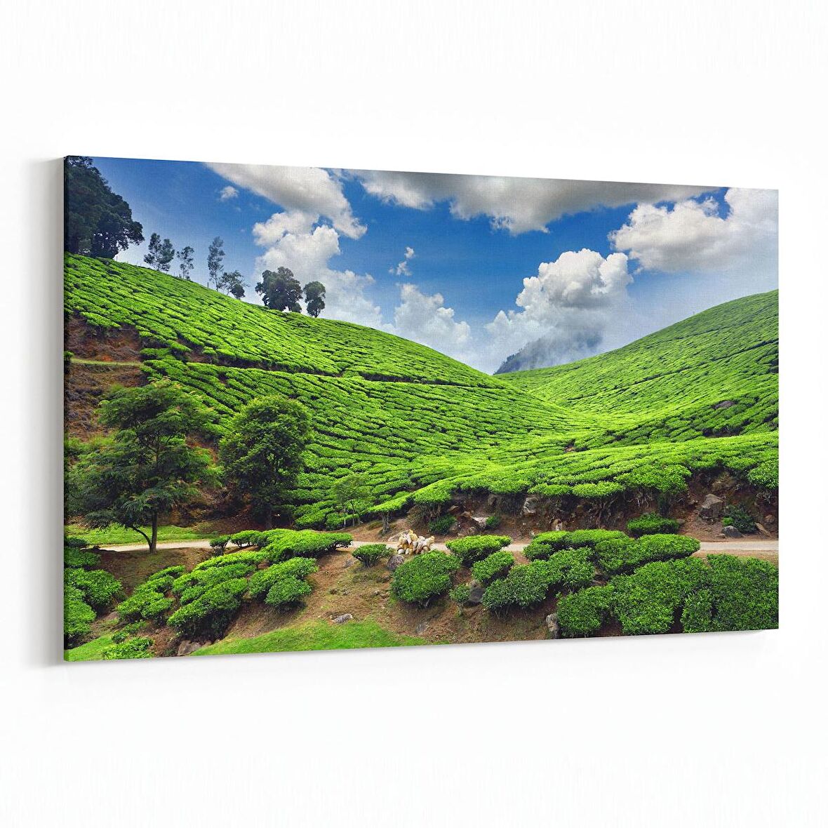 Olla 14545Y Doğa / Manzara Görseli Yatay Kanvas Tablo (Ölçü: 45X30)