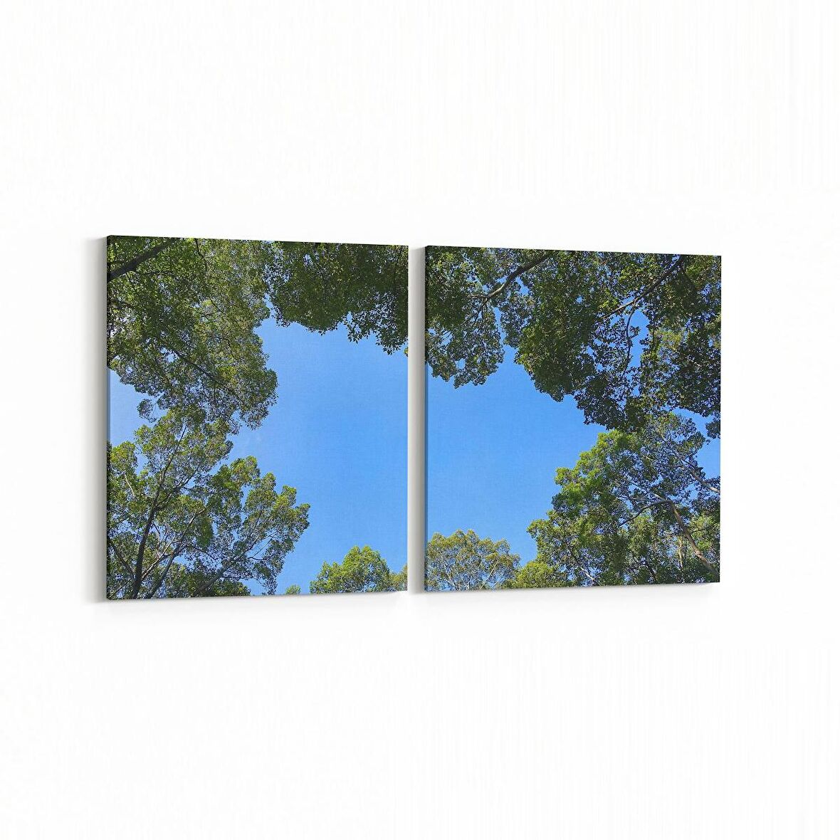 Olla 10984K2Y Ağaç Görseli Kare 2'li Yatay Kanvas Tablo (Ölçü: 125X60)