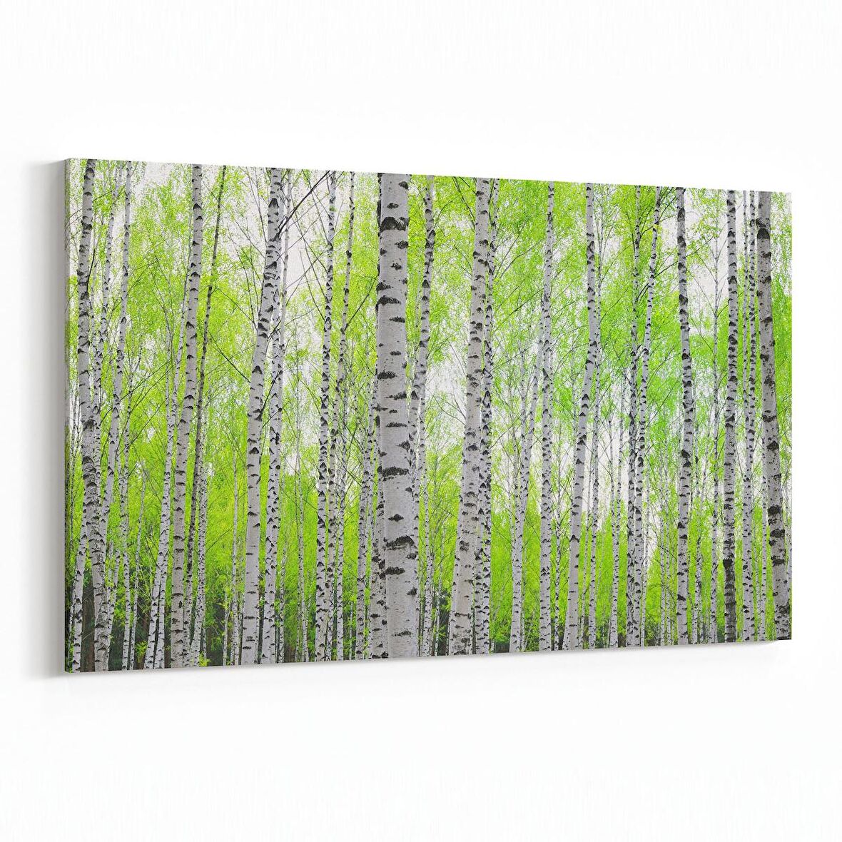 Olla 14526Y Doğa / Manzara Görseli Yatay Kanvas Tablo (Ölçü: 120X80)