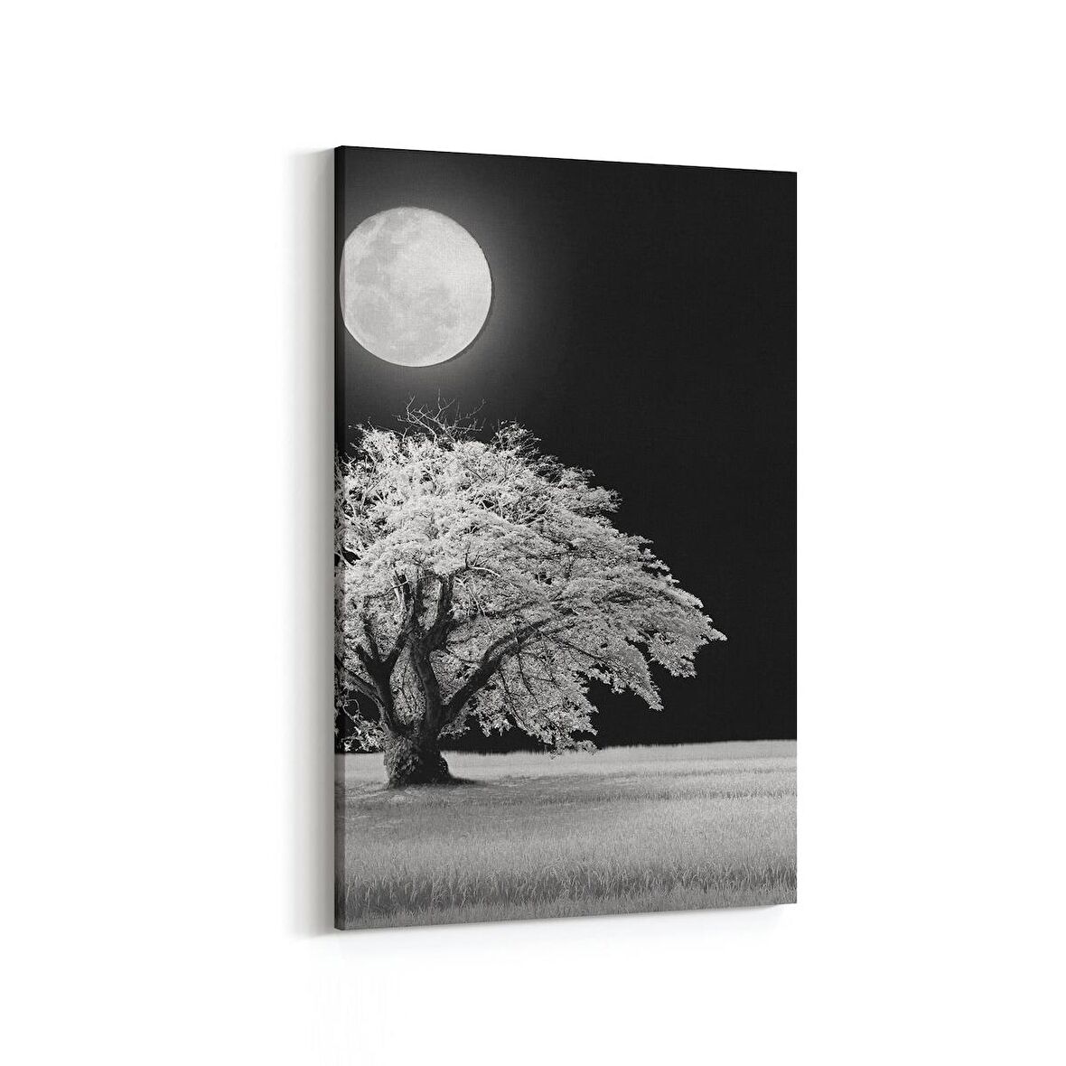 Olla 14475D Doğa / Manzara Görseli Dikey Kanvas Tablo (Ölçü: 60X90)