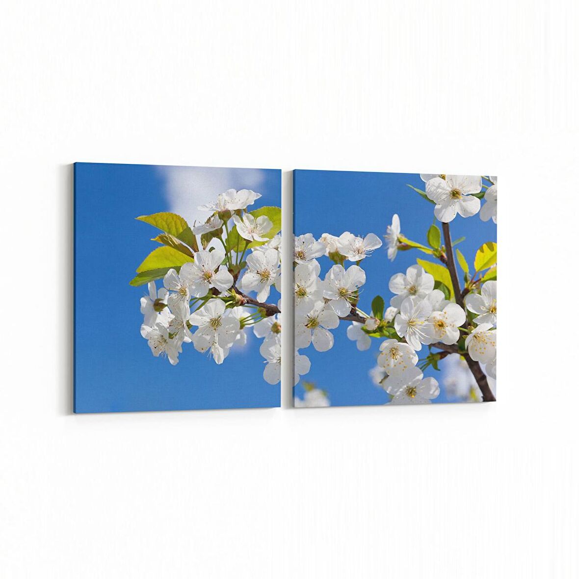 Olla 10678K2Y Ağaç Görseli Kare 2'li Yatay Kanvas Tablo (Ölçü: 125X60)