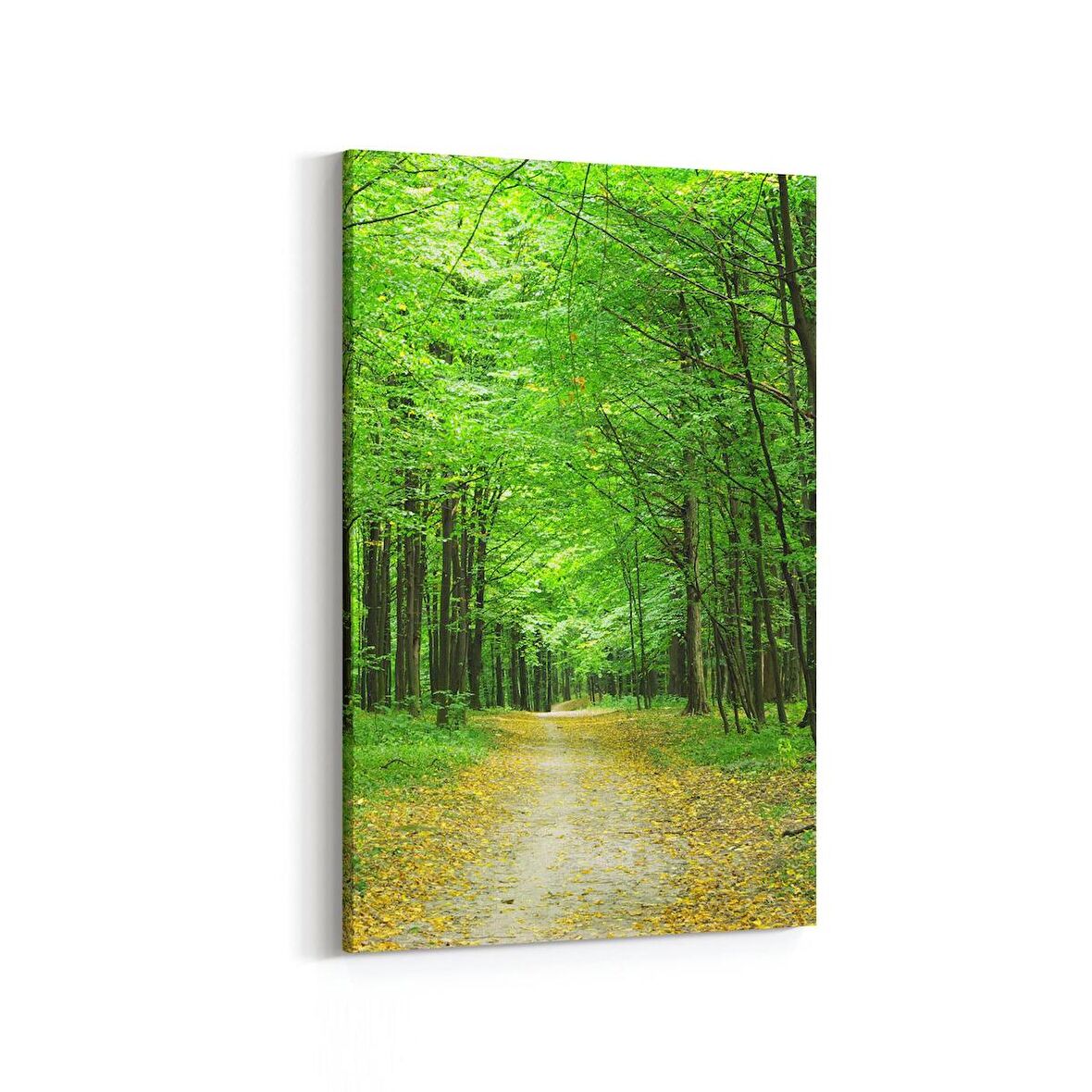 Olla 13373D Doğa / Manzara Görseli Dikey Kanvas Tablo (Ölçü: 80X120)