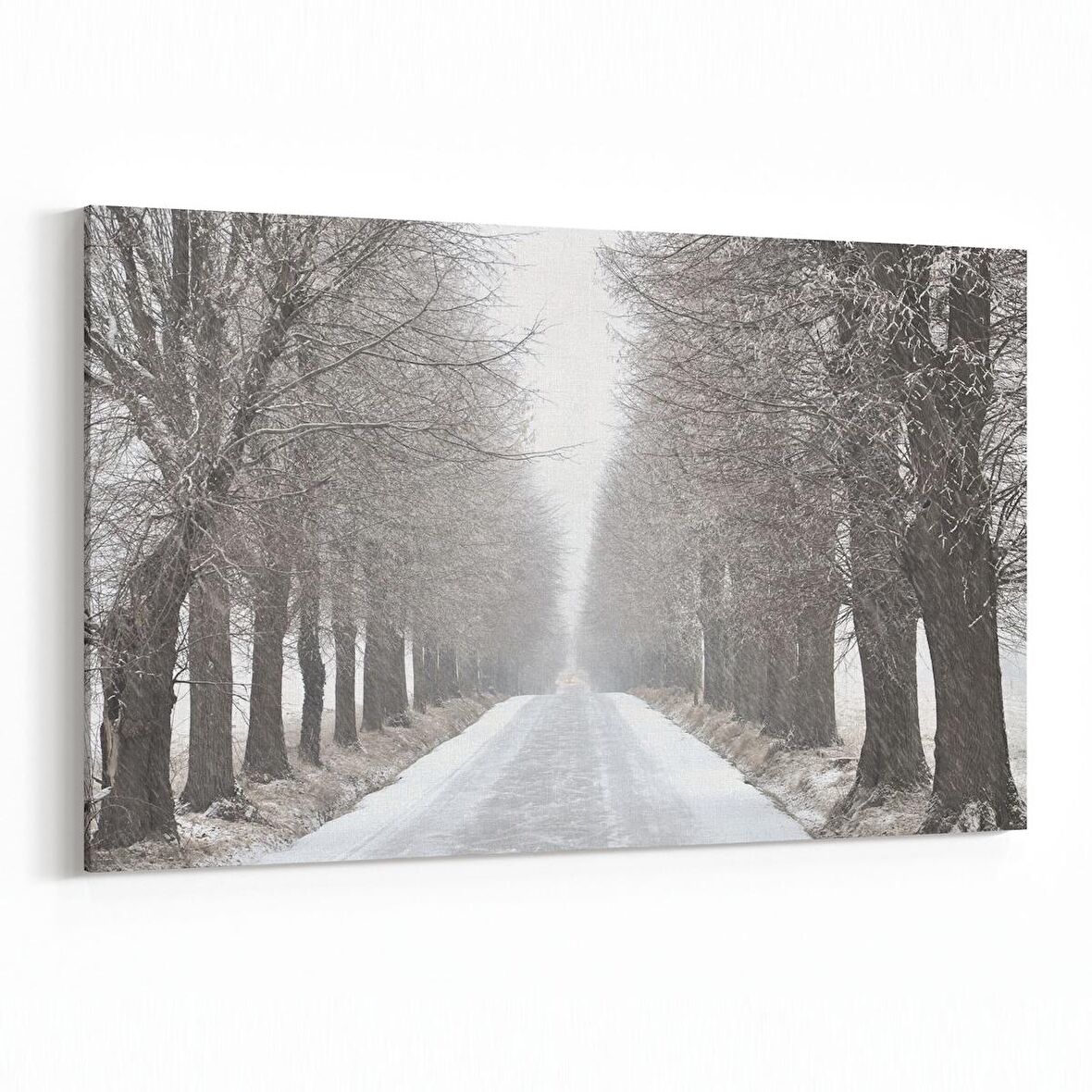 Olla 14403Y Doğa / Manzara Görseli Yatay Kanvas Tablo (Ölçü: 90X60)