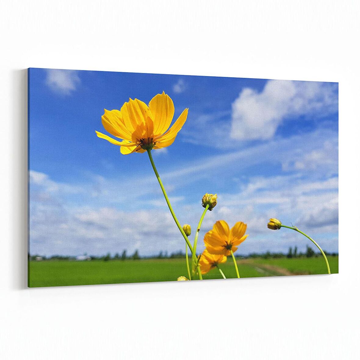 Olla 14392Y Doğa / Manzara Görseli Yatay Kanvas Tablo (Ölçü: 150X100)