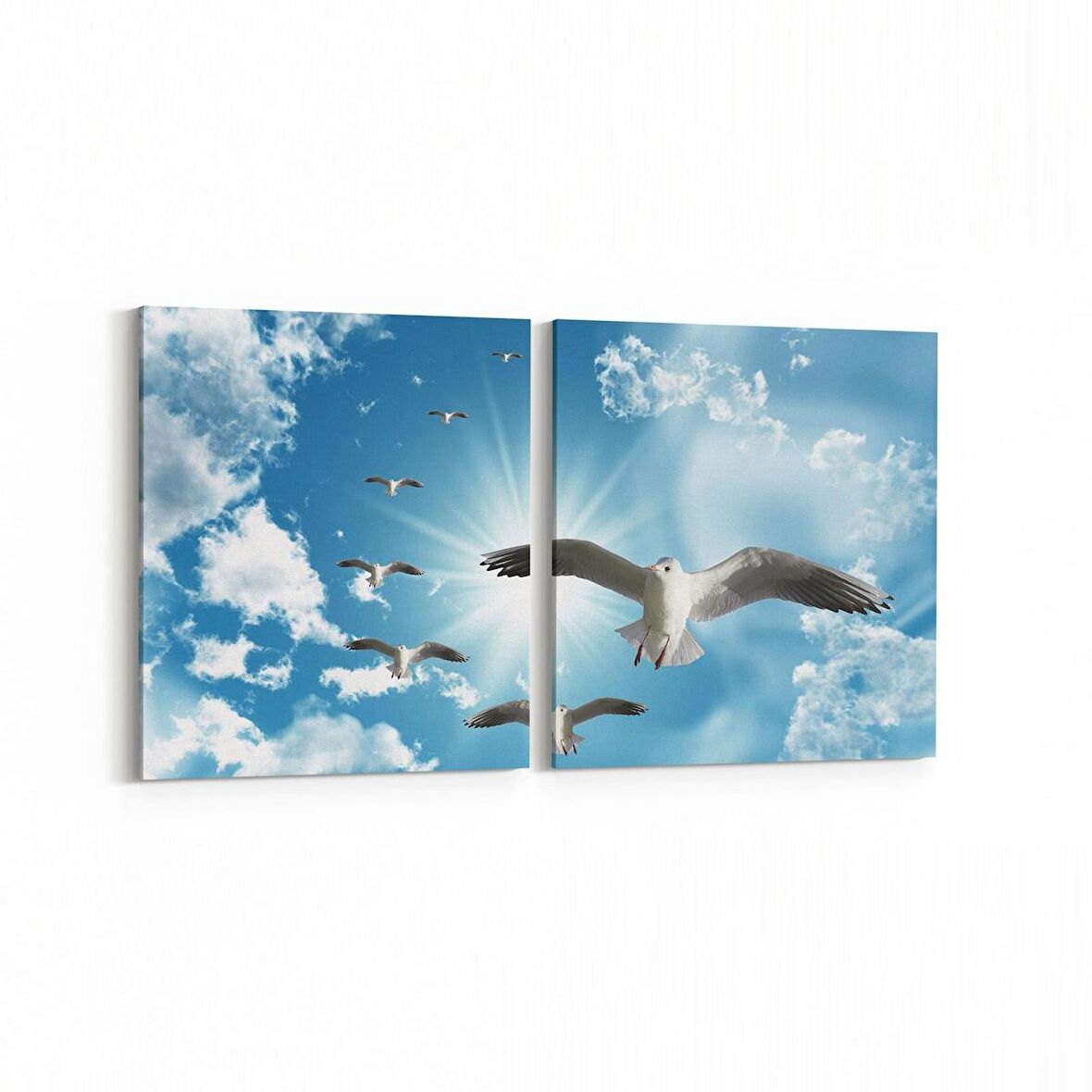 Olla 15837K2Y Gökyüzü Kuşlar Görseli Kare 2'li Yatay Kanvas Tablo (Ölçü: 125X60)