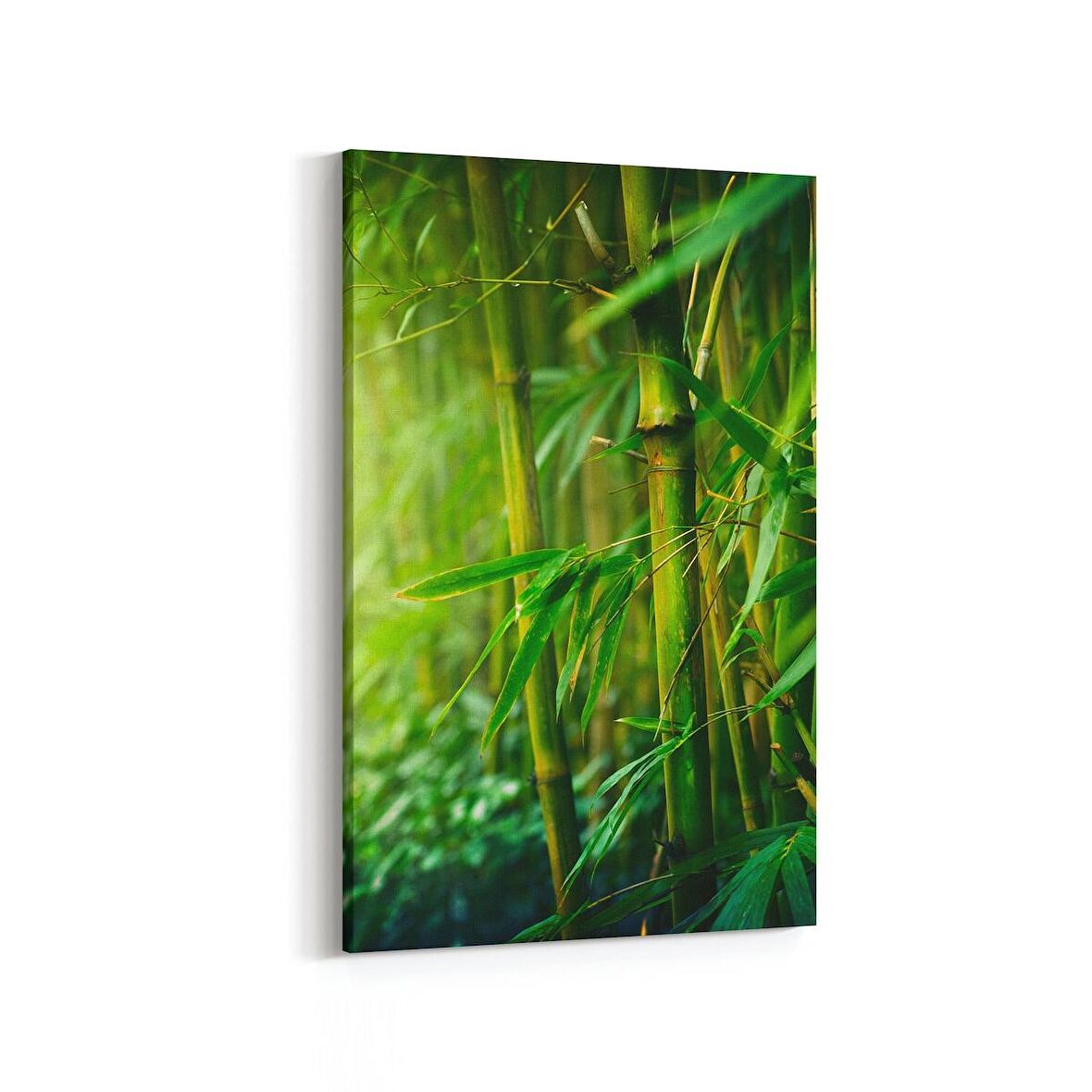 Olla 14617D Doğa / Manzara Görseli Dikey Kanvas Tablo (Ölçü: 80X120)