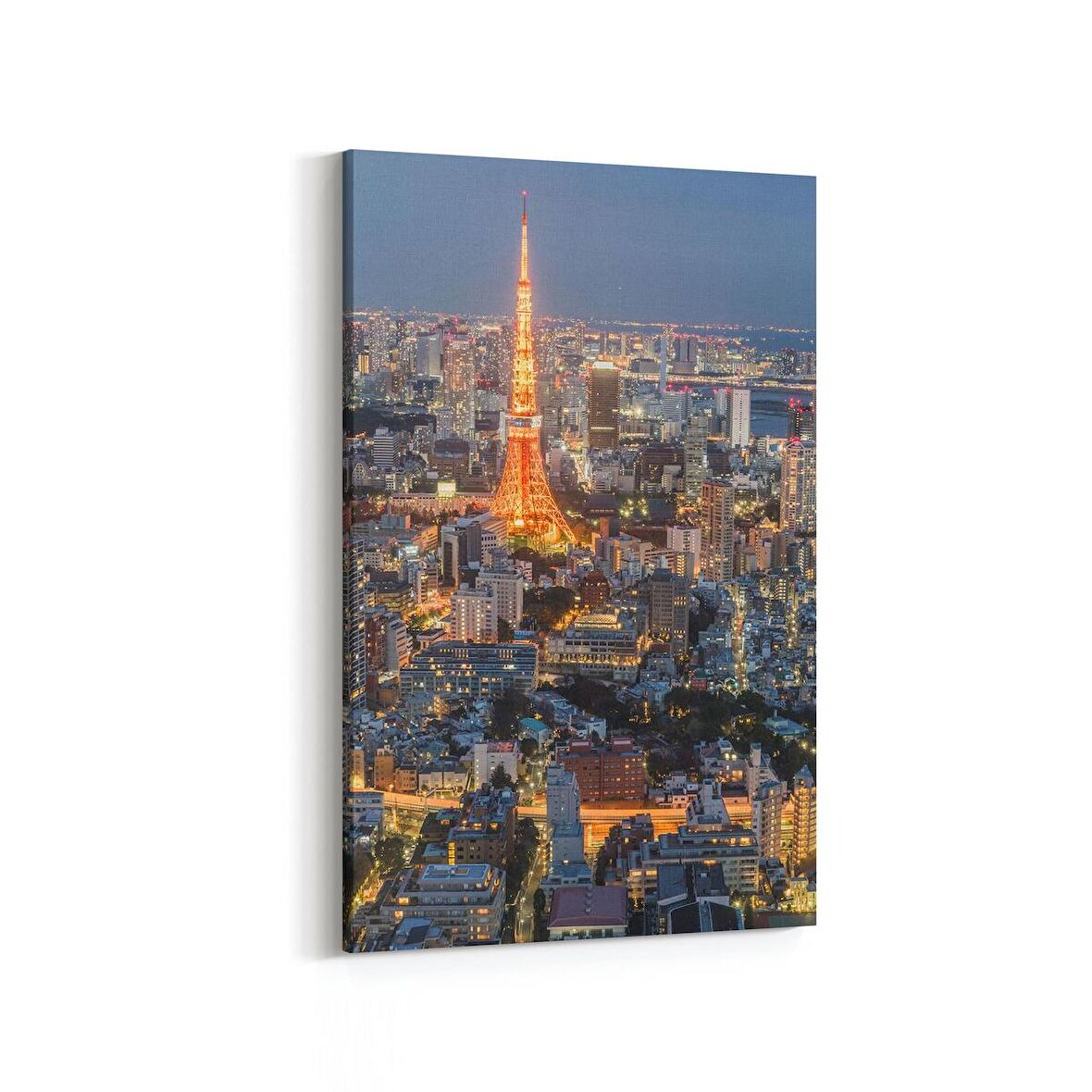 Olla 18612D Yapı Görseli Dikey Kanvas Tablo (Ölçü: 20X30)