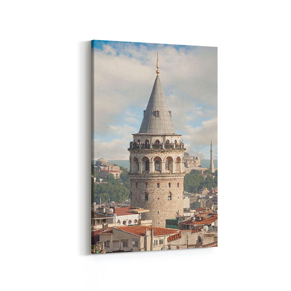 Olla 17919D Yapı Görseli Dikey Kanvas Tablo (Ölçü: 100X150)