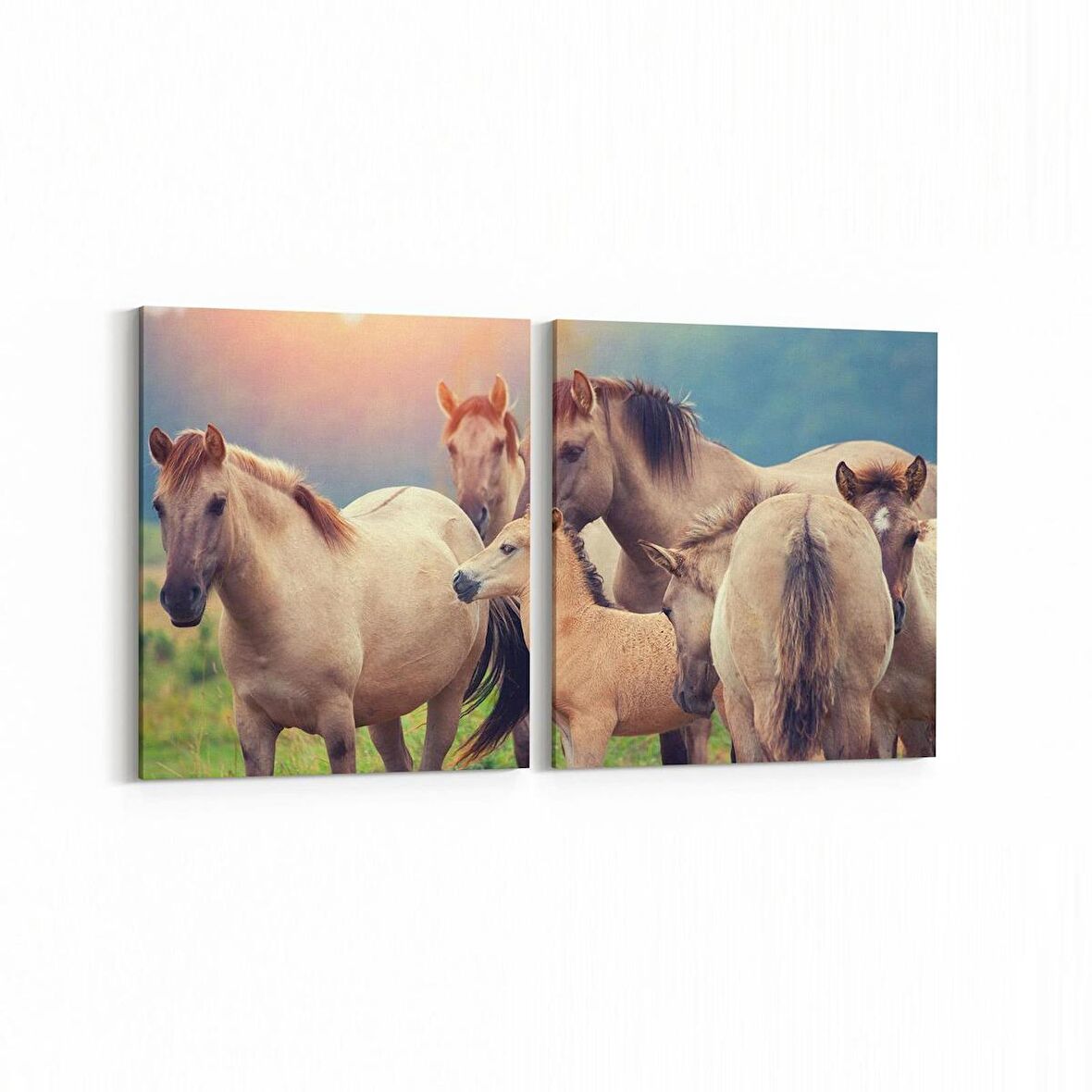 Olla 12573K2Y Hayvanlar Alemi Görseli Kare 2'li Yatay Kanvas Tablo (Ölçü: 85X40)