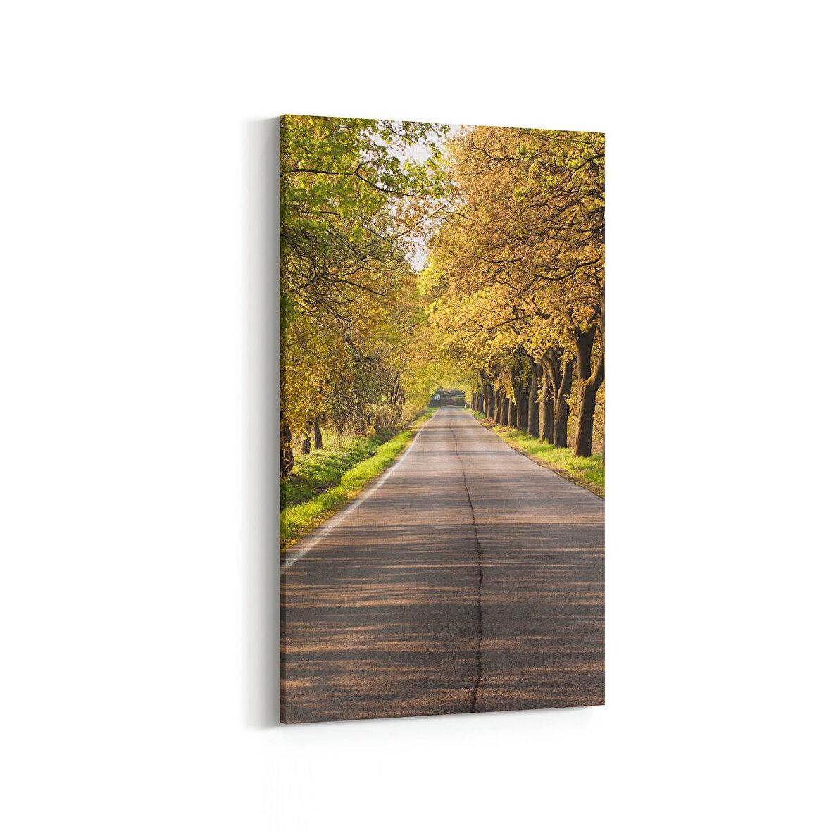 Olla 13579DD Doğa / Manzara Görseli Dikey Dar Kanvas Tablo (Ölçü: 30X60)