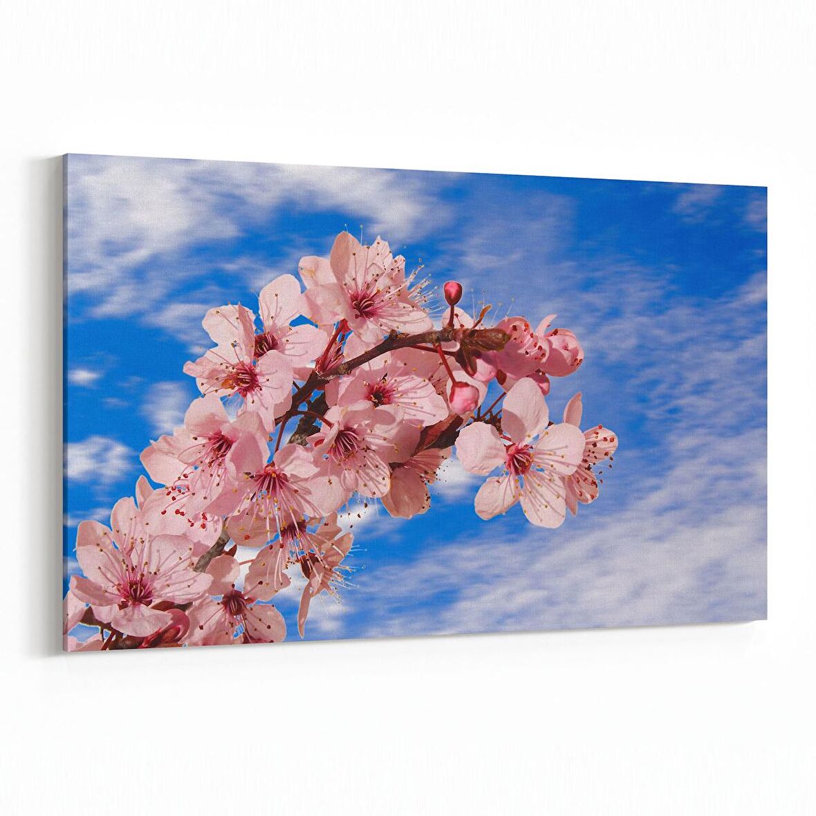 Olla 10687Y Ağaç Görseli Yatay Kanvas Tablo (Ölçü: 150X100)