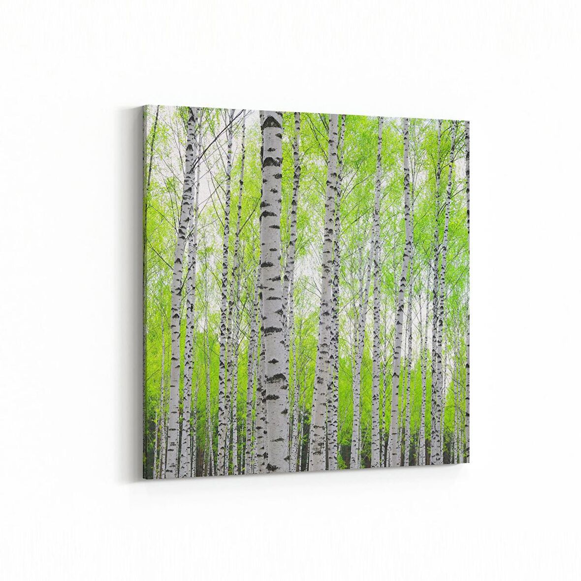 Olla 14526K Doğa / Manzara Görseli Kare Kanvas Tablo (Ölçü: 100X100)